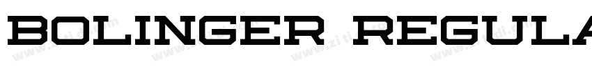 Bolinger Regular字体转换 Bolinger Regular字体转换